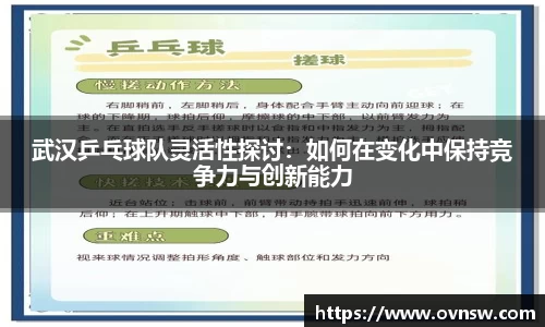 武汉乒乓球队灵活性探讨：如何在变化中保持竞争力与创新能力